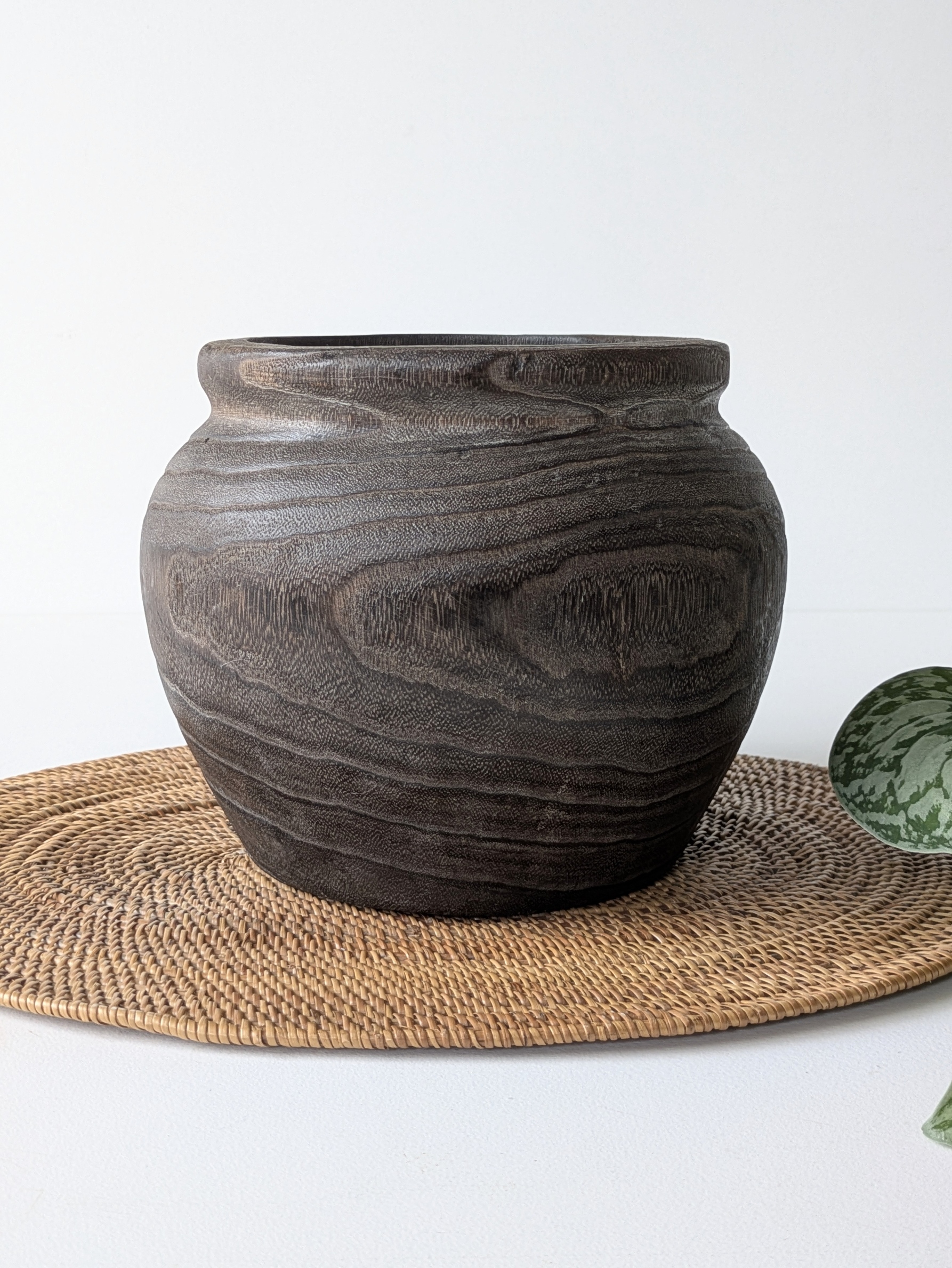 はなのまめ / スキンダプサス”トレビー” ダークブラウン木製（桐