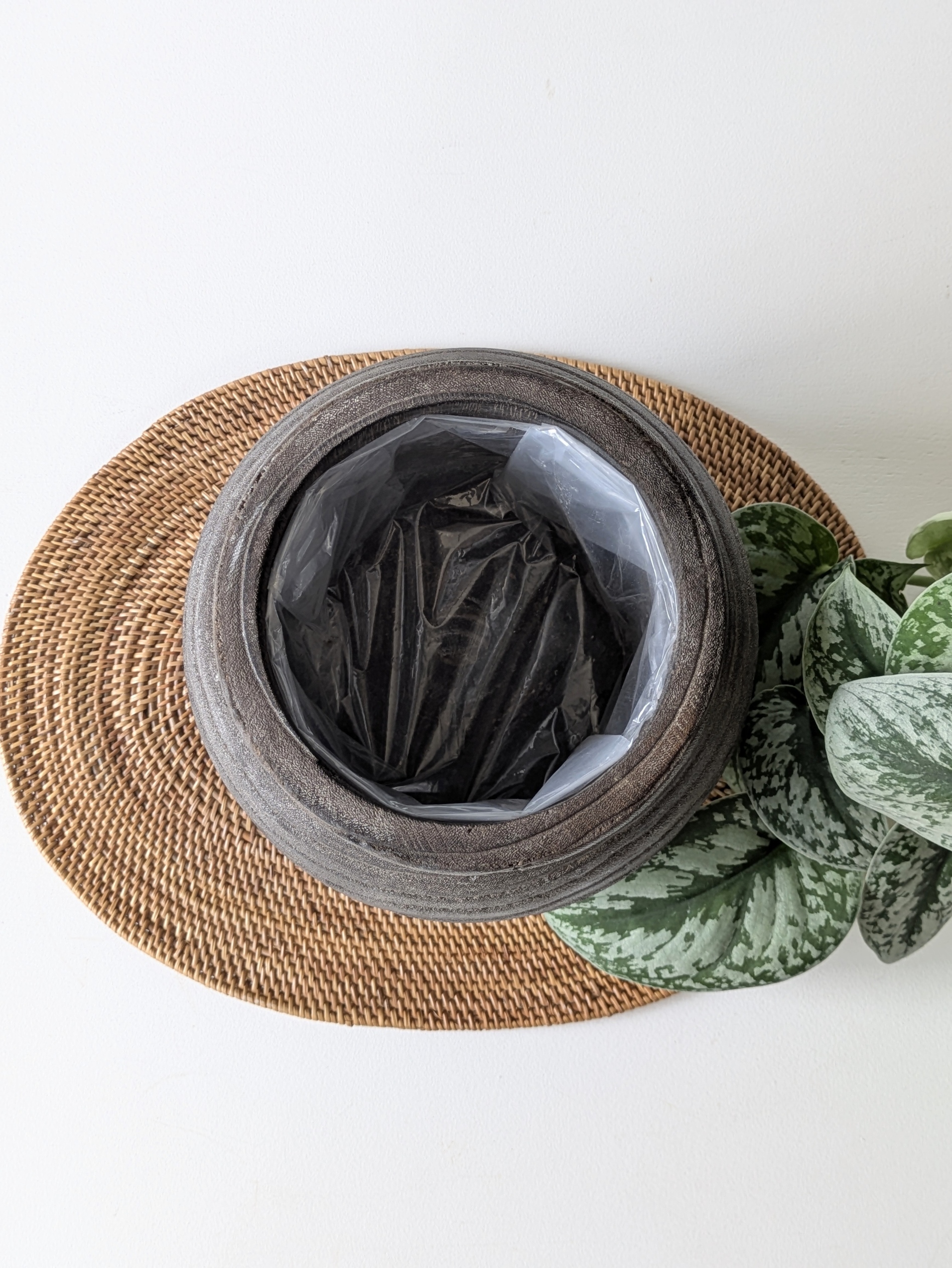 はなのまめ / スキンダプサス”トレビー” ダークブラウン木製（桐